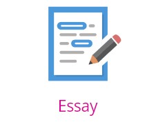 Essay