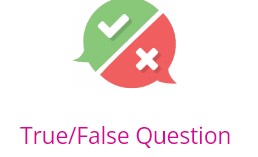 True/False Question
